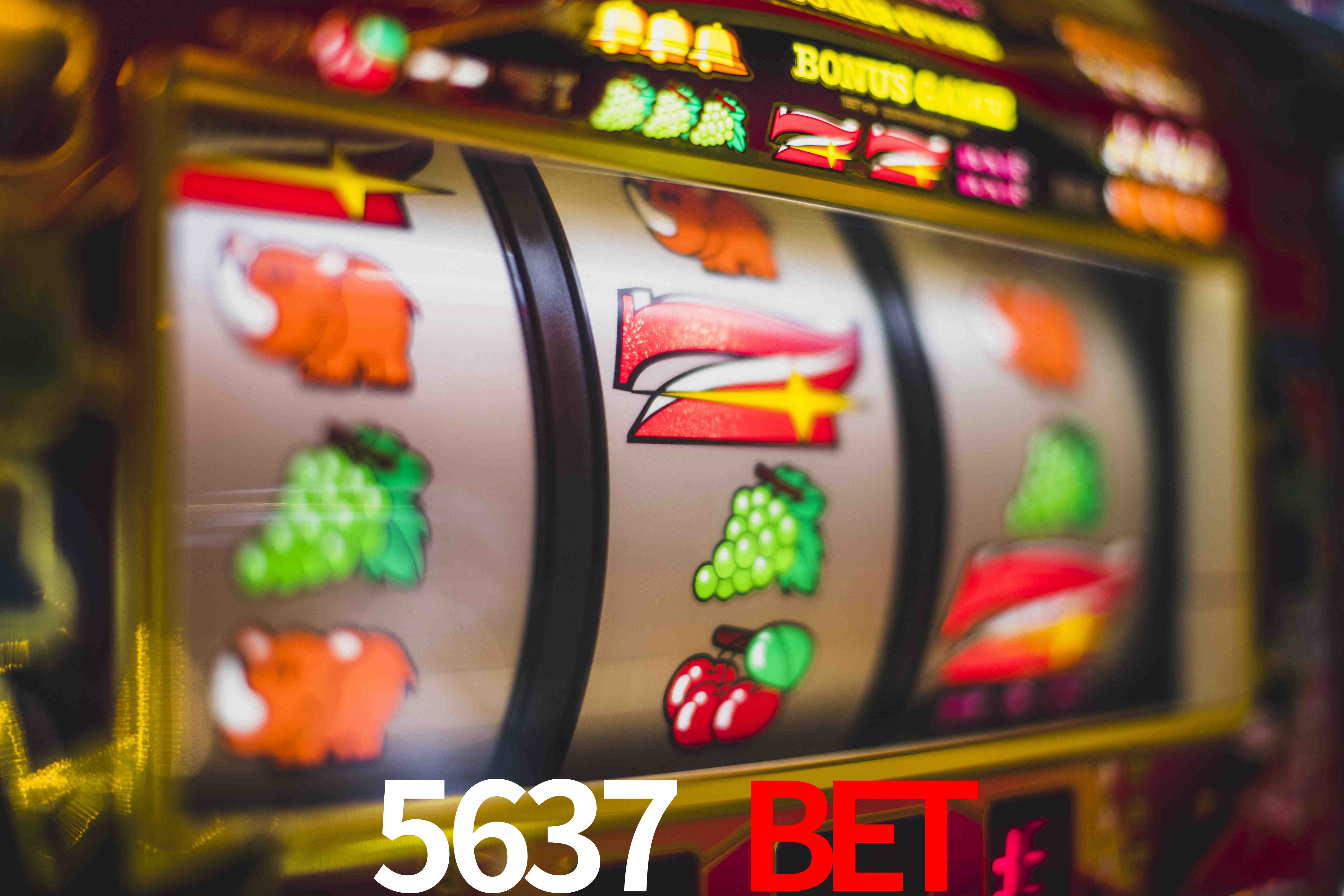 Sports Statistics 5637 bet